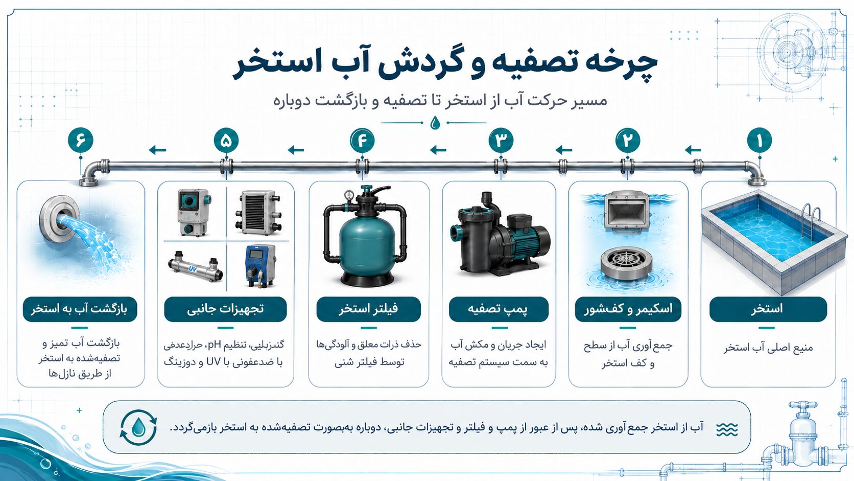 اینفوگرافی چرخه تصفیه و گردش آب استخر شامل مراحل استخر، اسکیمر و کف‌شور، پمپ تصفیه، فیلتر استخر، تجهیزات جانبی و بازگشت آب به استخر